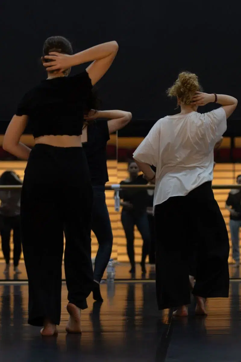 Danse Attitude
